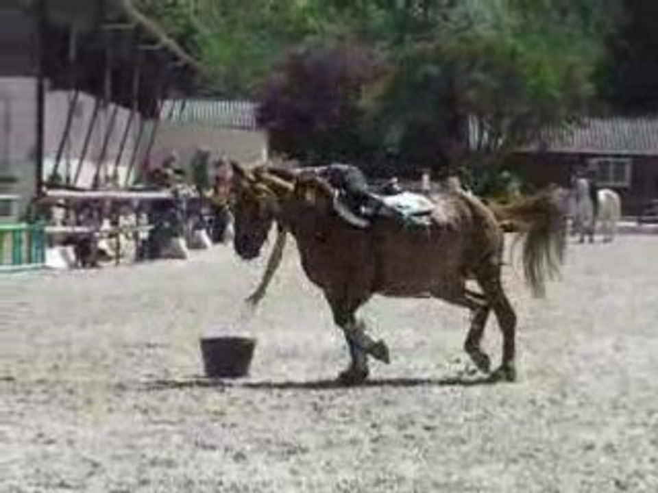 Pony games minimes 2 bubble gum