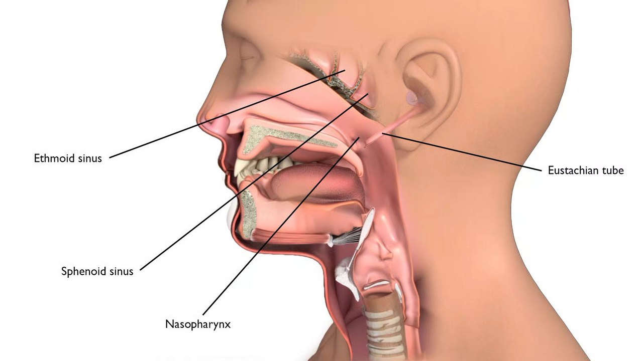 Nasopharyngeal cancer