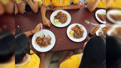 Los procesos irregulares del Inabie y sus medidas