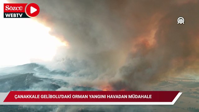 Gelibolu'da ormanlık alanda çıkan yangına havadan ve karadan müdahale sürüyor