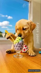The cute dog ate ants along with the ice cream #ai #baby #dog