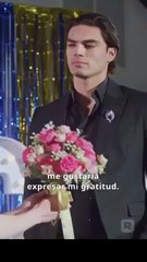 El Rey Alfa Y Su Novia Virgen - En Español