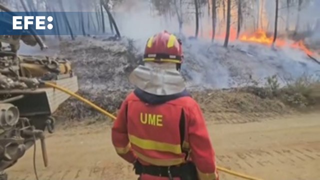 Un bombero muerto eleva a cuatro las víctimas mortales de la oleada de incendios en España