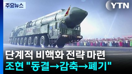조현 "동결→감축→폐기, 단계적 비핵화 전략 마련" / YTN