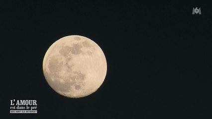 L'amour est dans le pré : teaser de l'épisode 2 du Que sont-ils devenus ?