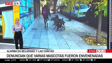 Envenenamiento de perros en Belgrano