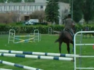 Pierre et Nero / JB et Mizzy Lou CSO G6-7 FDS 2008