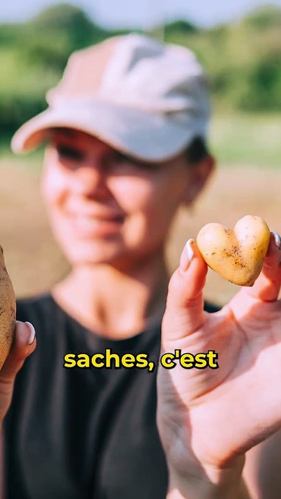 Si toi aussi tu pensais qu'éplucher tes patates avec des Airbus A380 était efficace, laisse-moi te montrer une meilleure façon de faire