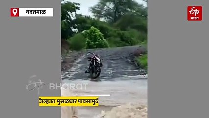 यवतमाळ जिल्ह्यात मुसळधार पावसामुळे मोठं नुकसान; 230 घरांमध्ये शिरलं पुराचं पाणी, अन्नधान्याची नासाडी