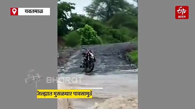 यवतमाळ जिल्ह्यात मुसळधार पावसामुळे मोठं नुकसान; 230 घरांमध्ये शिरलं पुराचं पाणी, अन्नधान्याची नासाडी