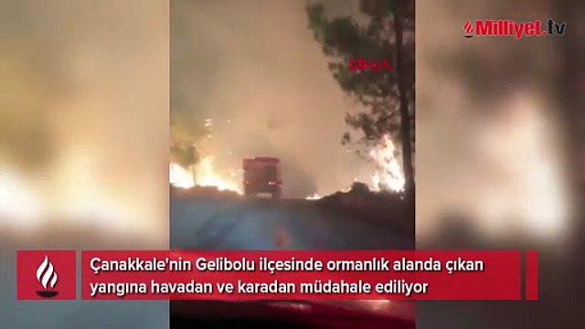 Çanakkale'de alevlerle mücadele sürüyor: 5 köy tahliye edildi