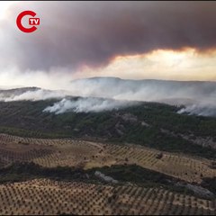 Çanakkale'de orman yangını 2'nci gününde