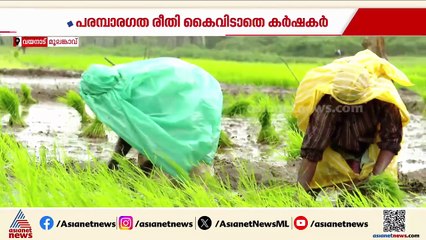 പരമ്പരാഗത രീതി കൈവിടാതെ തലമുറകള്‍ക്ക് അന്നമൂട്ടിയ വയനാട് മൂലങ്കാവ് പാടത്തെ നെല്‍കര്‍ഷകര്‍