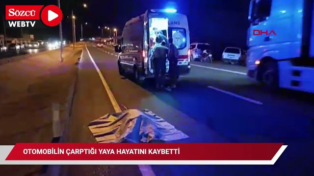 Otomobilin çarptığı yaya hayatını kaybetti