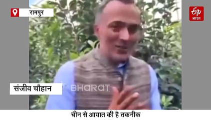 पेड़ पर लग रहे दिल के आकार के सेब, छिलके के अंदर से लिखा है LOVE, प्रेमी जोड़ों में भारी डिमांड
