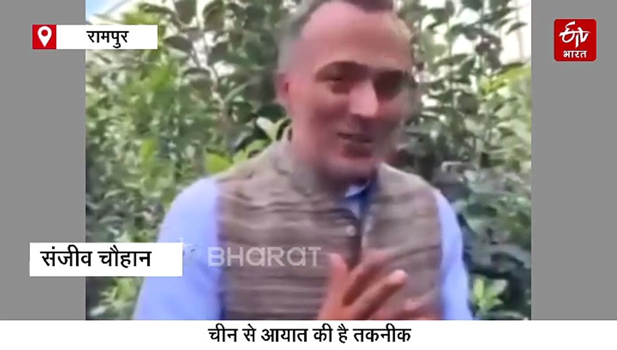 पेड़ पर लग रहे दिल के आकार के सेब, छिलके के अंदर से लिखा है LOVE, प्रेमी जोड़ों में भारी डिमांड