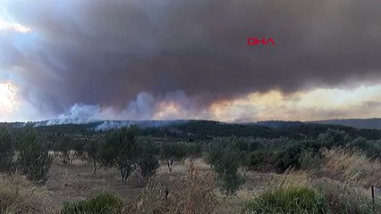 Çanakkale'de orman yangını 2'nci gününde