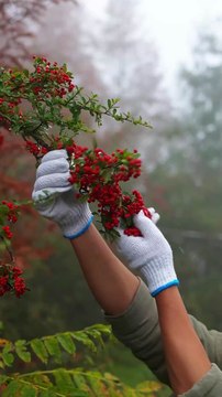 You Would Have Never Seen Such Countryside Food before | Lifestyle | Daily Vlog | Rural Village Life Mountain Life Rural Lifestyle Nature Food Cooking
