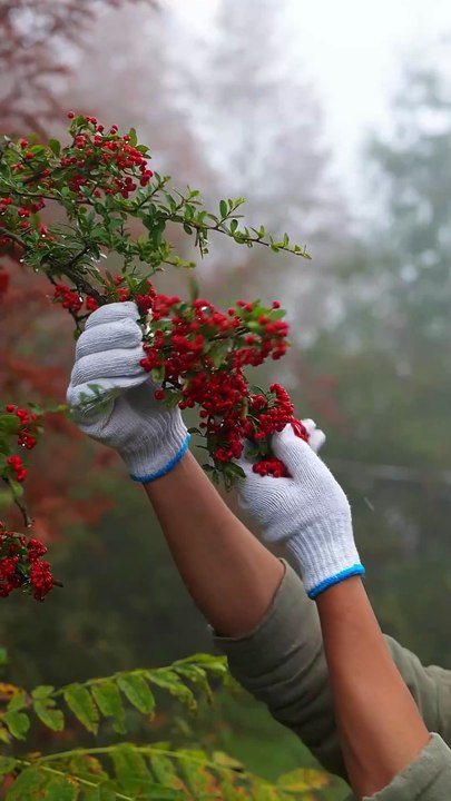 You Would Have Never Seen Such Countryside Food before | Lifestyle |  Daily Vlog | Rural Village Life Mountain Life Rural Lifestyle Nature Food Cooking
