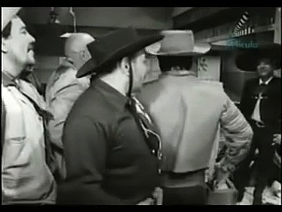 paloma brava 💯 Miguel Aceves mejia 🌐 suscribete y dale like 💯