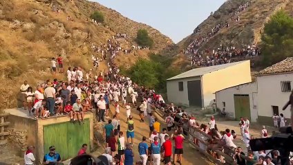 Canción del primer encierro del Pilón de Falces 2025