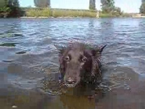 Volga, 18 mois, en vacances