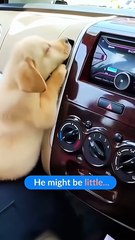 Ceo’S Equal Full Episodes - Full Movie