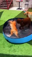 Pick Up A Billionaire Husband