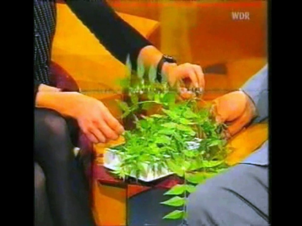 7538  1 Tag der Woche