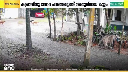 മലപ്പുറം വേങ്ങരയിൽ മൂന്ന് വയസുകാരന് നേരെ പാഞ്ഞടുത്ത് തെരുവ്നായ കൂട്ടം