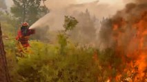 Los vídeos más estremecedores de los incendios forestales que han ocurrido en Galicia