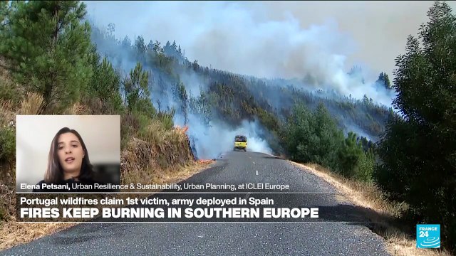 Effects of climate change in urban environments: 'We need to invest in prevention , resilient infrastructure