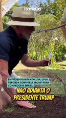 Em vídeo plantando uva, Lula reforça convite a Trump para conhecer o Brasil