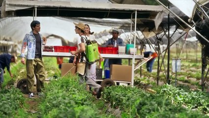 Cap. 28 - Amanecer | HD