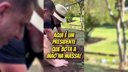 “Não adianta Trump taxar a uva brasileira”, afirma Lula ao plantar pé de uva no Alvorada