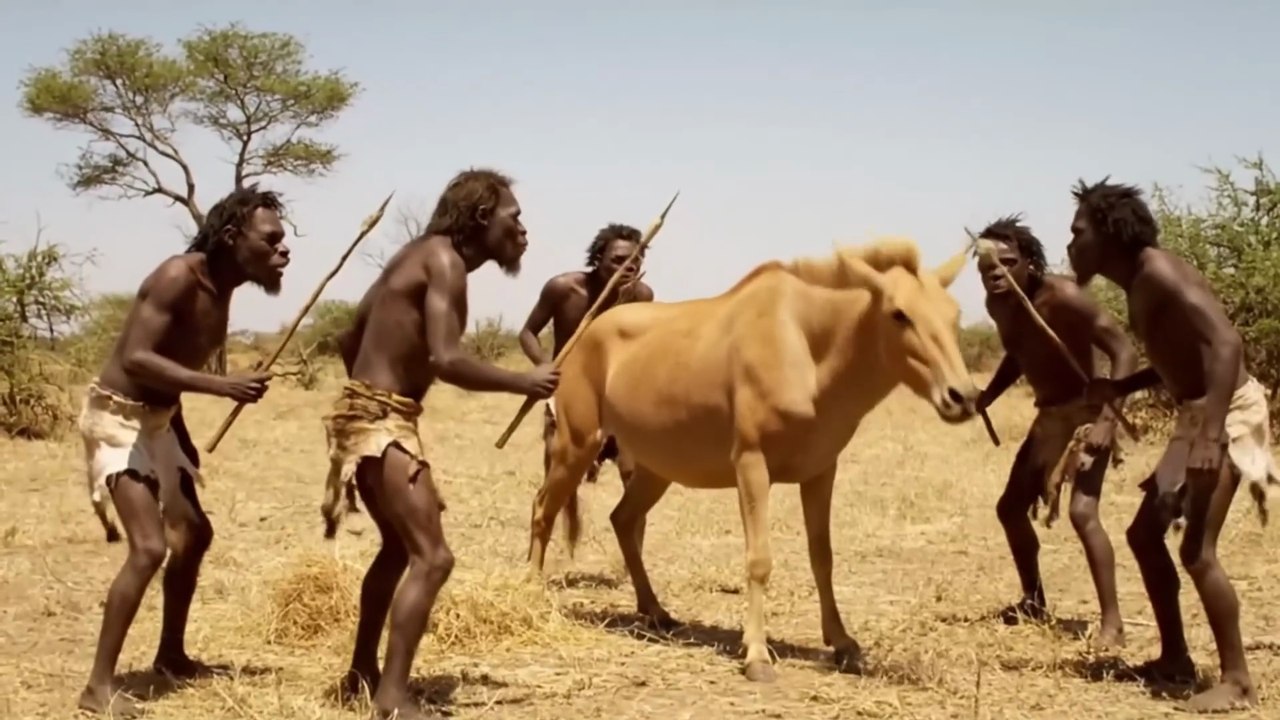 Life Million Years Ago ｜ How Did the First Humans Defend Their Young？