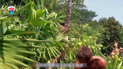 2 Nam 1 Nữ Thử Thách Sinh Tồn 21 Ngày Ở Rừng Rậm Colombia