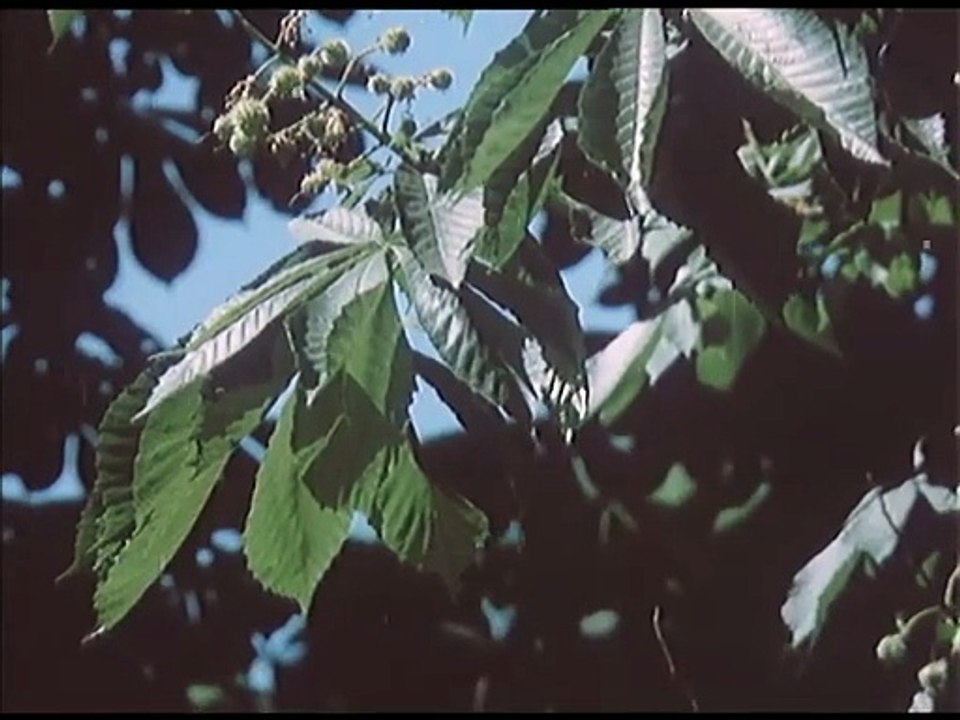 Kobieta za lada S01E04