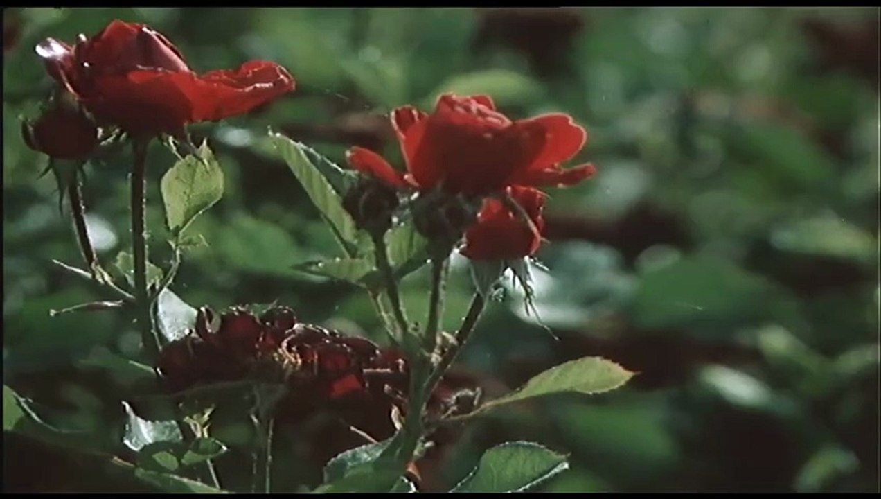 Kobieta za lada S01E09