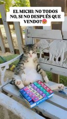 Chicles lleve sus chicles!!!😺 1x cliente!!!!