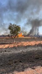 Via de acesso à Papuda, próximo à estação de energia do Mangueiral.
