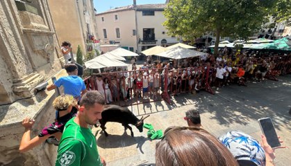 Arènes de Mauguio : interview d'Audrey Meynier, membre des "Double dose" depuis 25 ans