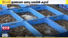 സൗ​ദിയിൽ ട്രോളിംഗ് നീങ്ങി... മത്സ്യ വിപണി വീണ്ടും സജീവം..