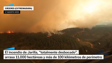 El incendio de Jarilla, "desbocado", arrasa más de 11.000 hectáreas