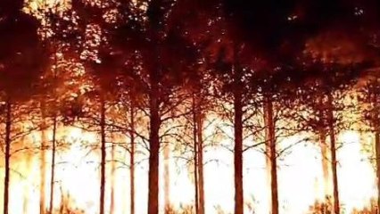 Labores de extinción, en la madrugada del domingo, del incendio de Canalejas (Palencia).