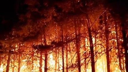 El incendio de Canalejas (Palencia) ha obligado a evacuar a los vecinos de seis localidades.