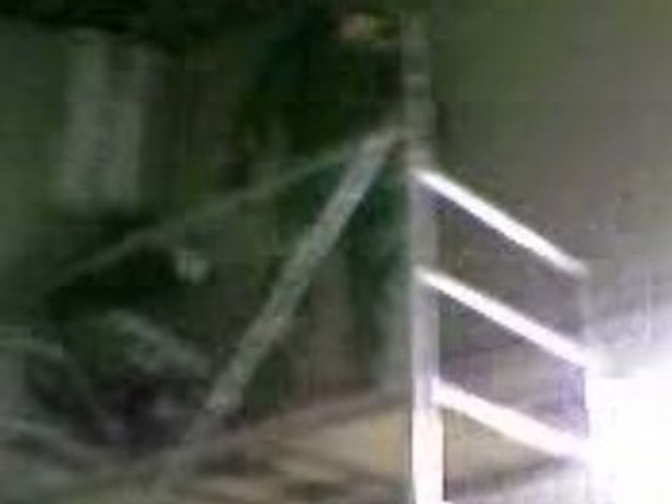 Vasco dance