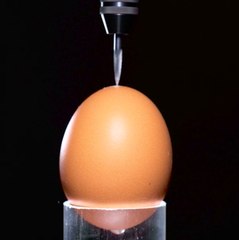 Transformer les œufs de poule en machine à remonter le temps numérique 🥚⏱️
