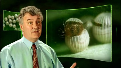 The Future Is Wild -8 Tropical Antarctica