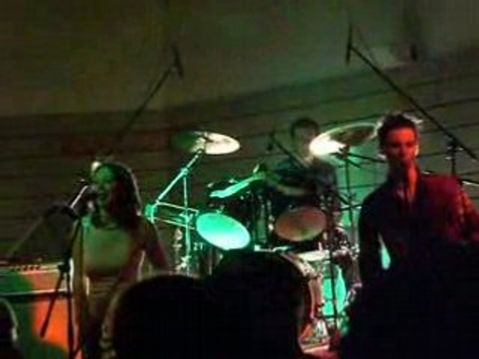 IMAGIN-RI  a cervens